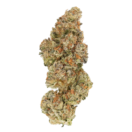 1964 Kush Mints | PURP Cannabis